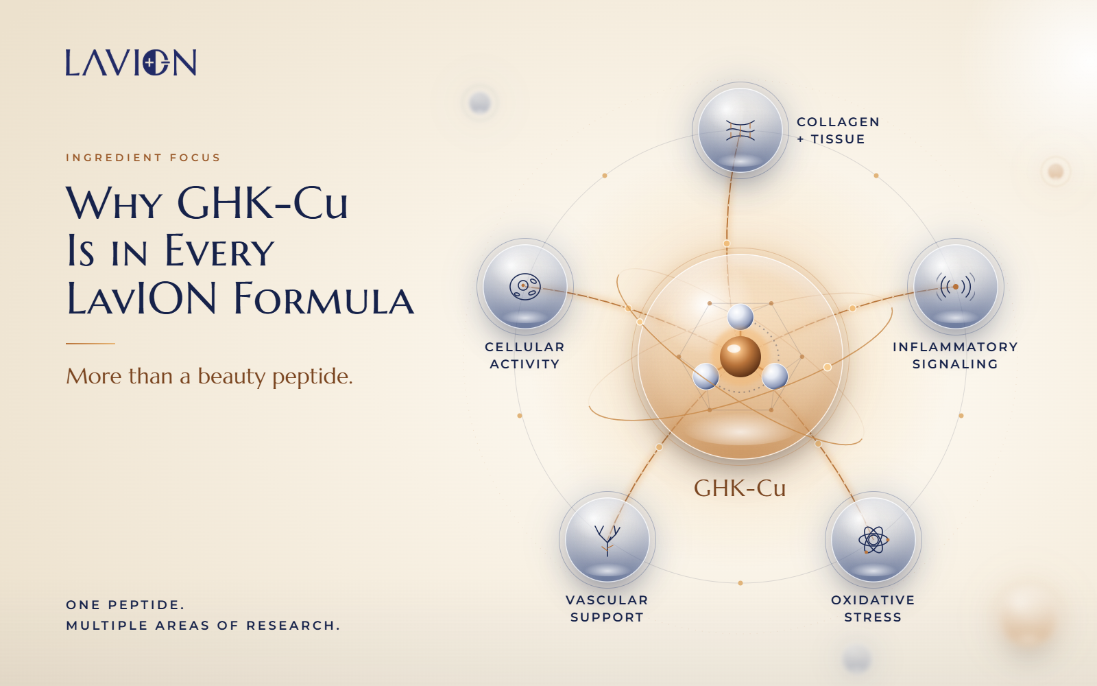 Why GHK-Cu is included across LavION formulas and its researched biological pathways