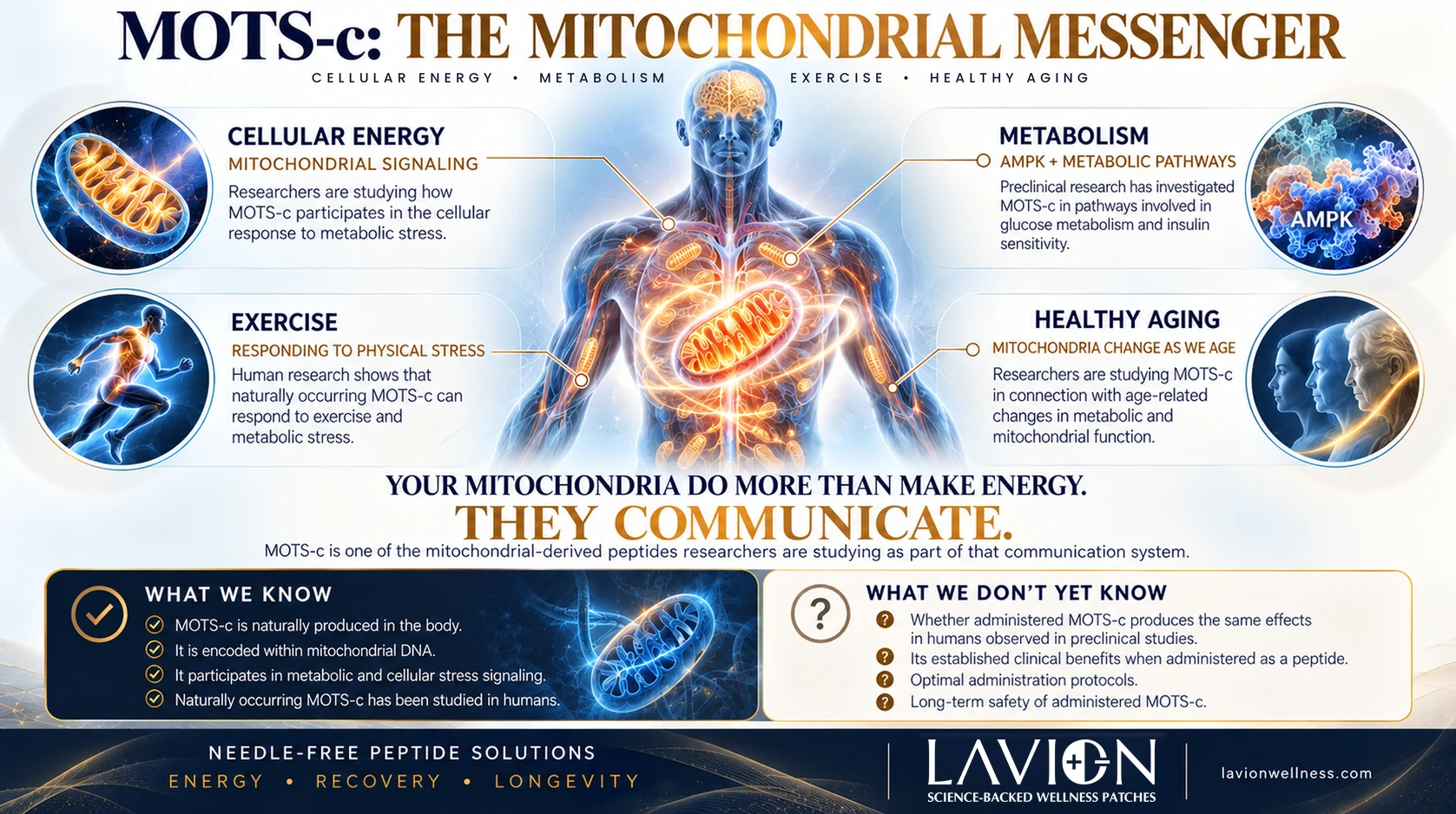 MOTS-c mitochondrial-derived peptide research involving cellular energy, metabolism, exercise and healthy aging